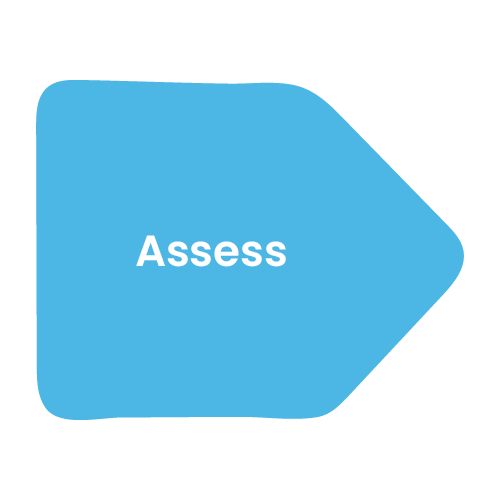 Blue arrow head with 'Assess' written on it Blue arrow head with 'Assess' written on it
